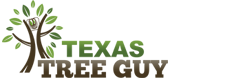 Texas Tree Guy Logo