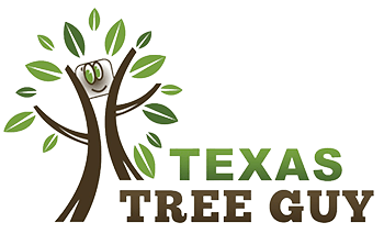 Texas Tree Guy LLC Logo
